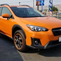 Orange Subaru with Orange AlloyGators