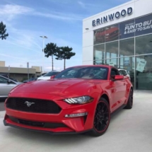 Red Ford Mustang with Red AlloyGators