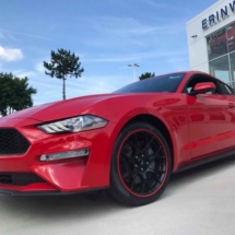 Red Ford Mustang with Red AlloyGators