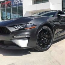 Graphite Ford Mustang with Graphite AlloyGators