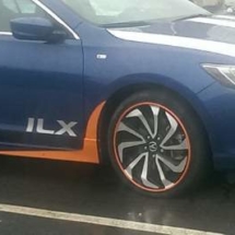 Blue Acura with Orange AlloyGators