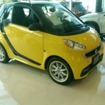 Yellow Smart Car with Yellow AlloyGators