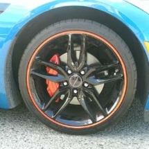 Blue Lexus with Orange AlloyGators