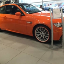 Orange BMW with Orange AlloyGators