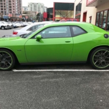 Green Dodge with Green AlloyGators