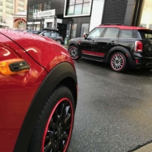 Red Mini with Red AlloyGators