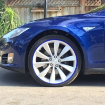 Blue Tesla with Blue AlloyGators