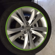 Silver Wheels with Green AlloyGators