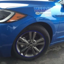 Blue Hyundai with Blue AlloyGators