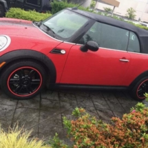 Red Mini with Red AlloyGators
