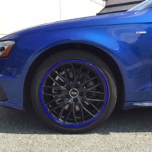 Blue Audi with Blue AlloyGators