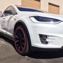 White Tesla with Red AlloyGators