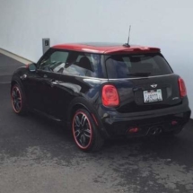Black Mini with Red AlloyGators