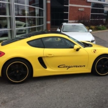 Yellow Porsche with Yellow AlloyGators