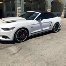 White Ford Mustang with White AlloyGators