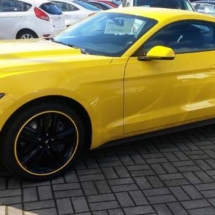 Yellow Ford Mustang with Yellow AlloyGators