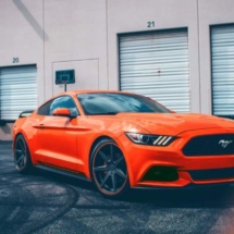 Orange Ford Mustang with Orange AlloyGators