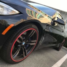 Black BMW with Red AlloyGators