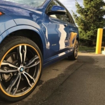 Blue BMW with Gold AlloyGators